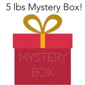 5 lbs MYSTERY RESELLER BOX Various Sizes Women's Clothing NWT NWOT or EUC! 🎉